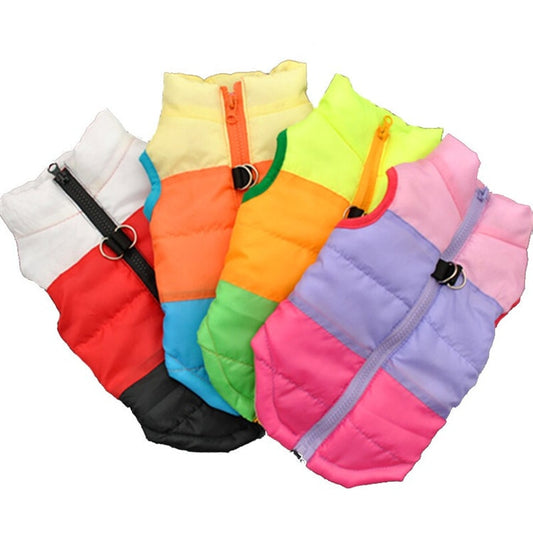 Pet clothing autumn and winter pet puppy jacket vest traction buckle