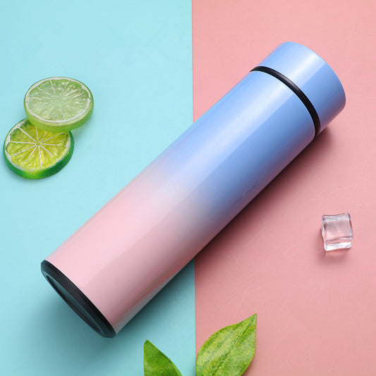 Intelligent Stainless Steel Bottle Cup Temperature Display Vacuum
