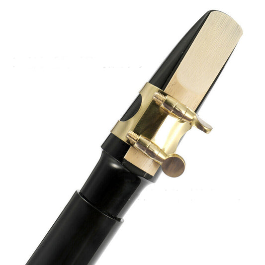 Portable Mini Saxophone Alto Mouthpiece Saxophone