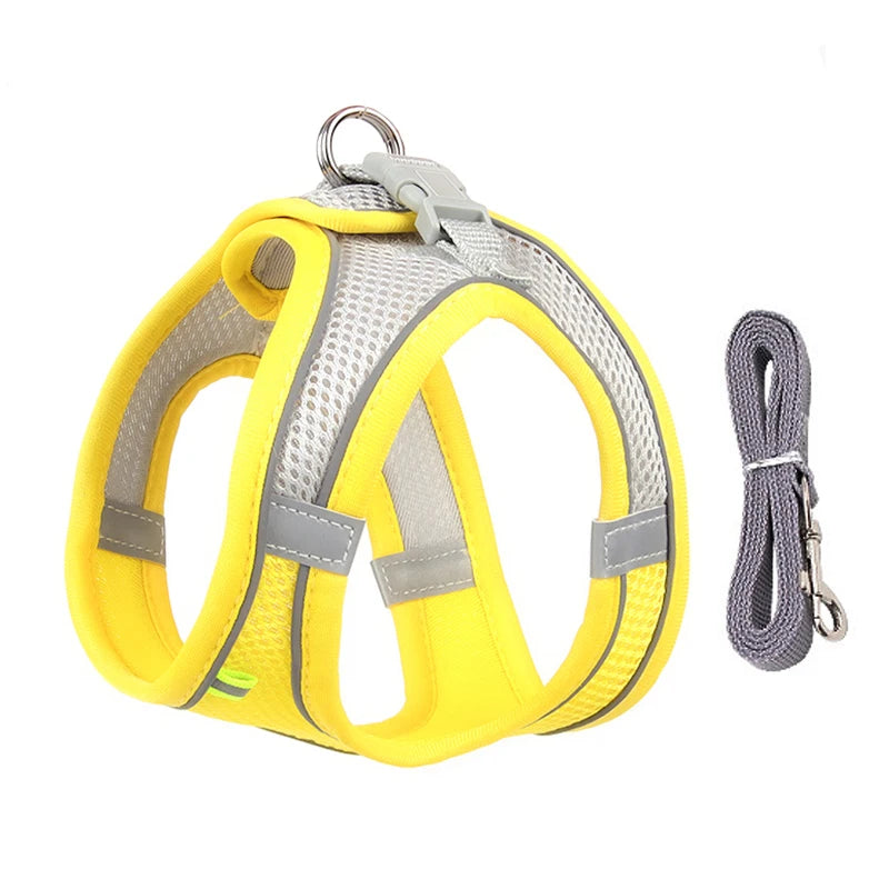 Dog Harness Leash Set for Small Dogs Adjustable Leash
