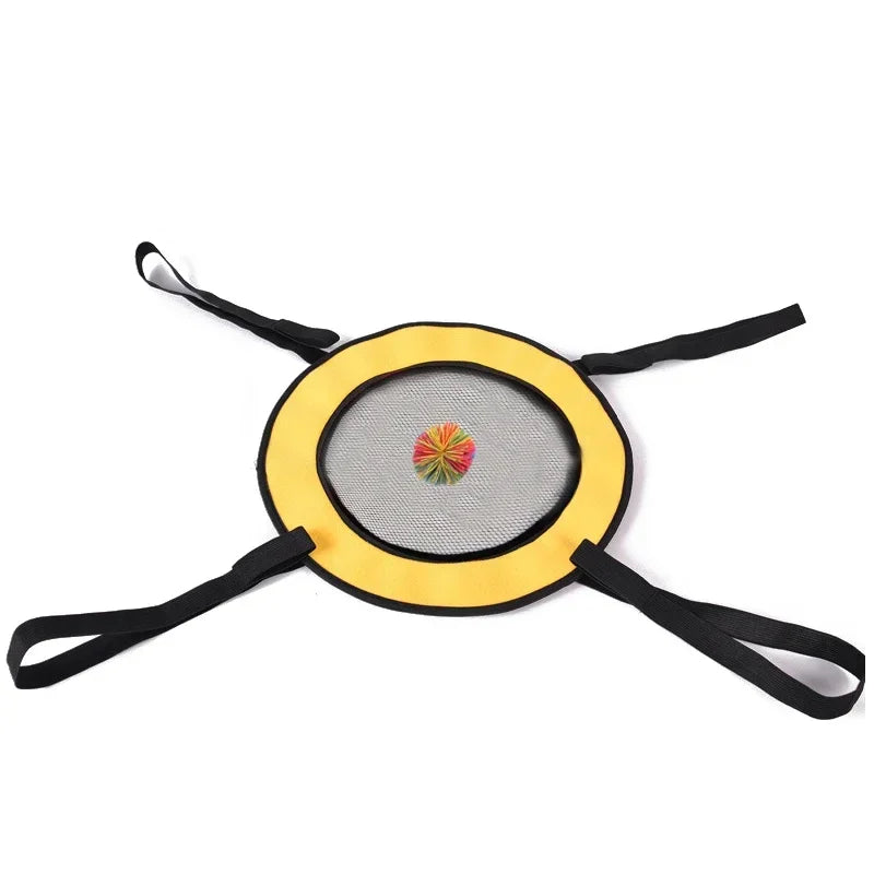Two Person Interactive Throwing And Catching Game