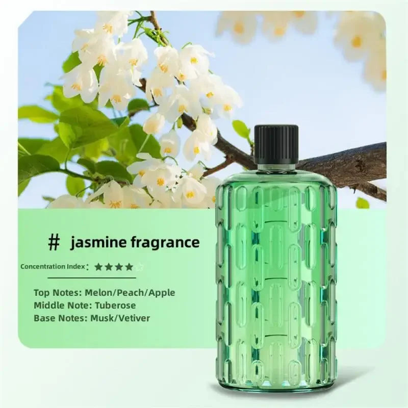 Aroma Diffuser Humidifier Fragrance Essential Oil Aromatherapy