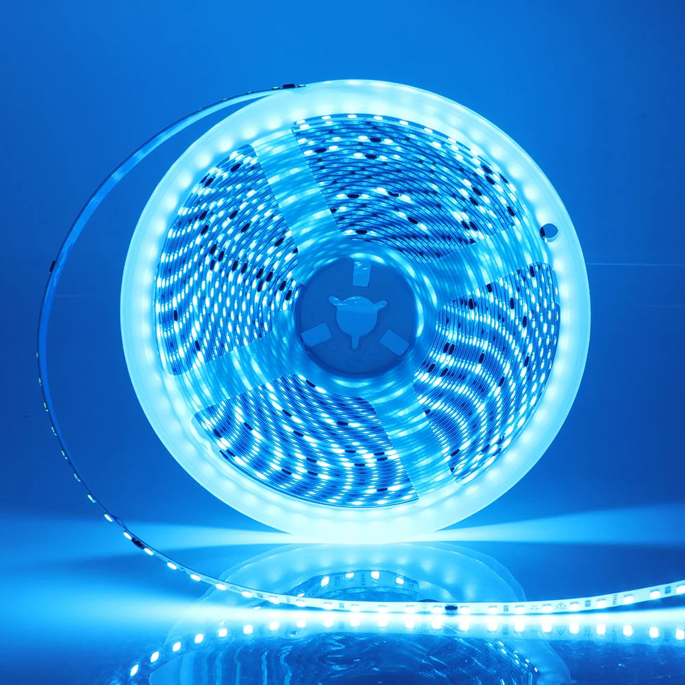 5m 10m 20m 50m LED Strip Light AC 220V 230V 240V IP55
