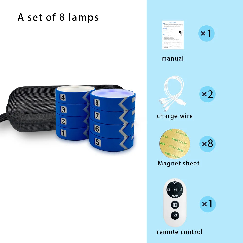 Response Agility Training Light, Children's Physical Fitness