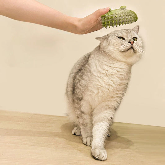 Pet Cat Hair Removal Massage Comb Scratching Brush
