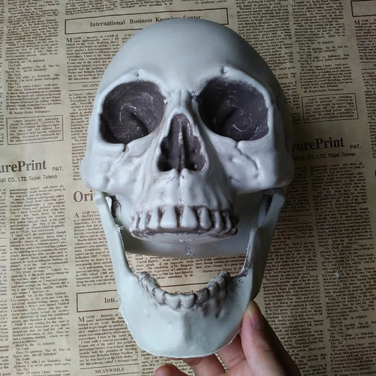 Halloween Skull Decoration,Realistic Plastic Skull,Head Skeleton