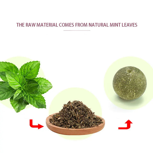Cats Catnip Cat Toy Natural Ball Removal Cat Grass
