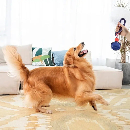 Interactive Dog Toy Ball Interactive Teether With Rope Dog Ball