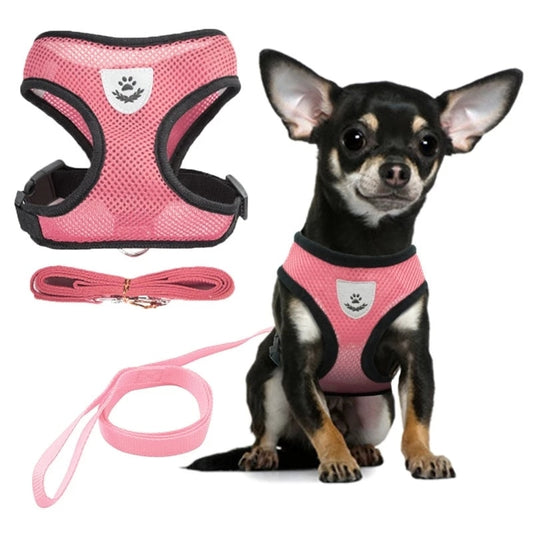 Cat Dog Adjustable Harness Vest Walking Lead Leash