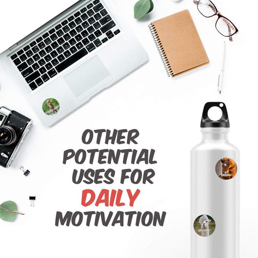 Reward Stickers for Teachers Fun Motivational Stickers