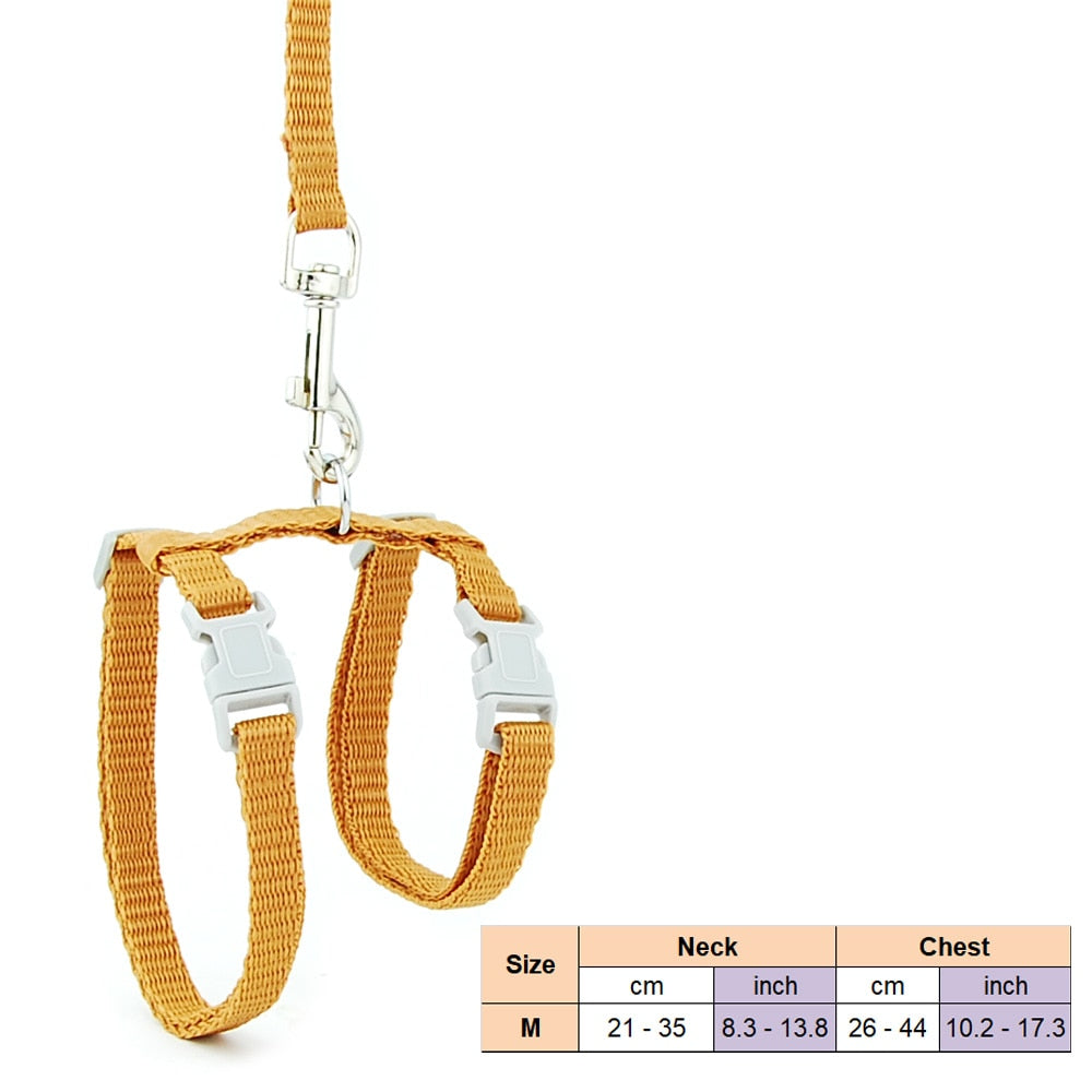 Cat Dog Collar Harness Leash Adjustable Nylon Traction Halter Collar