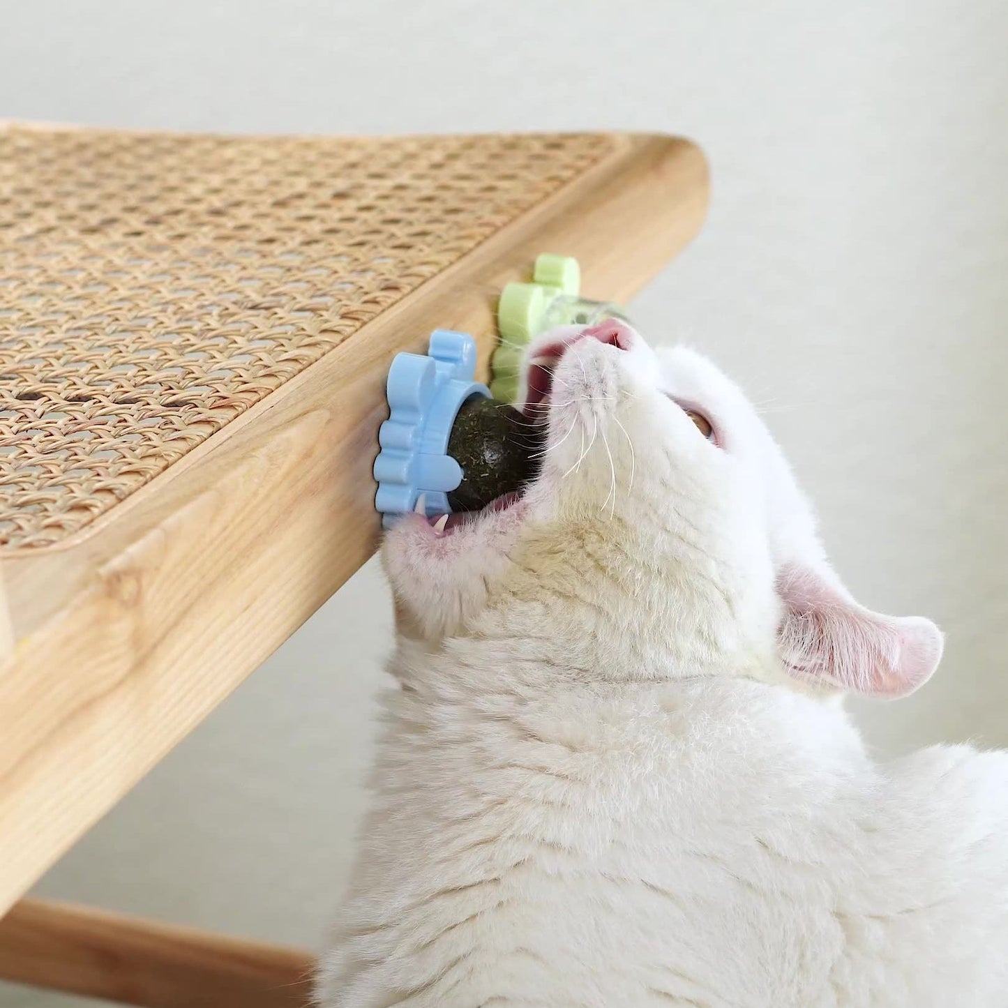 Healthy Cat Catnip Toys Ball Cat Candy Licking Snacks