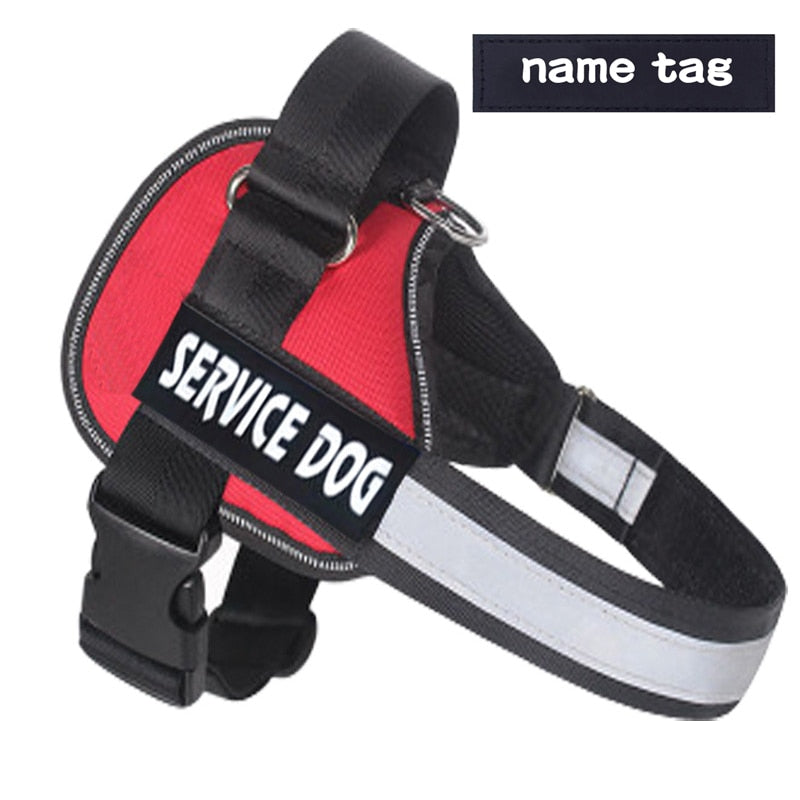 Nylon Personalized Dog Harness Reflective Adjustable Leash