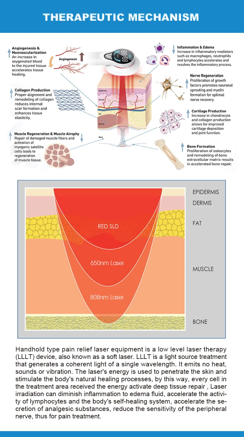 New upgrade 650nm 808nm Cold Light Powerful Handheld