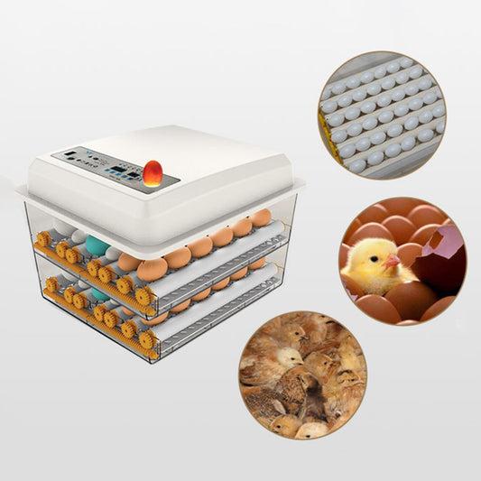 220V Egg Incubator Brooder Bird Incubators Hatchers