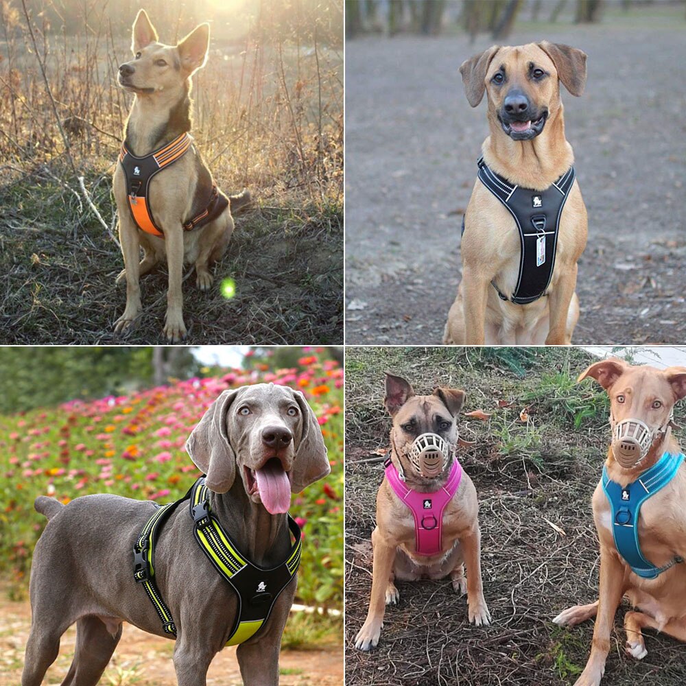 Sport Nylon Reflective No Pull Dog Harness