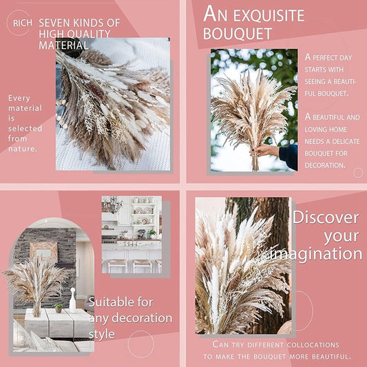 Natural Dried Pampa Grass Bouquet Boho Dried Flowers