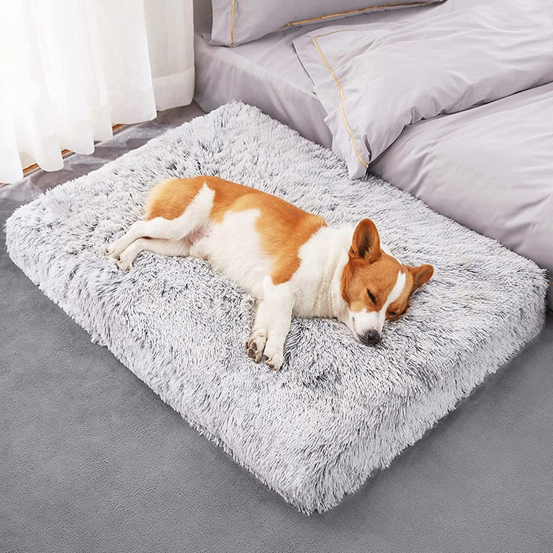 Plush Dog Bed Mat Cat Beds for Cleaning
