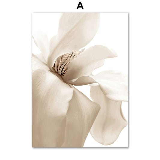 White Shell Beach Flower Dandelion Wall Art