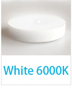 LED PIR Infrared Sensor Night Light