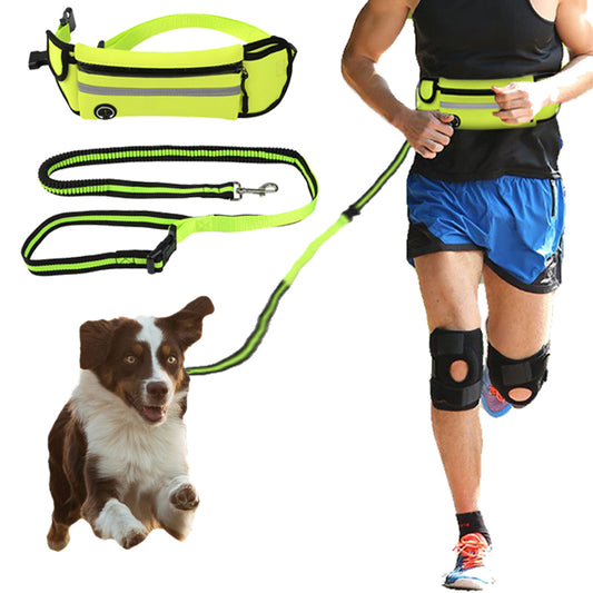 Pet Waist Bag Sports Traction Rope Reflective Waterproof Running Traction Rope