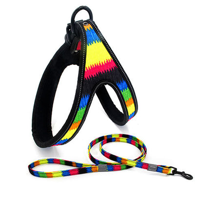 Colorful Dog Leash Dog Walking Rope Small And Medium-sized