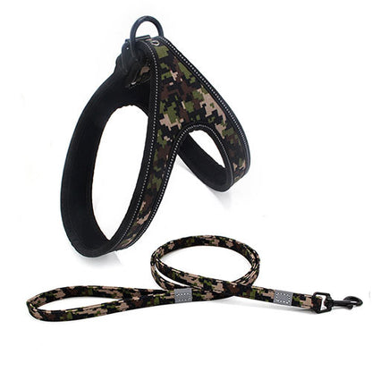 Colorful Dog Leash Dog Walking Rope Small And Medium-sized