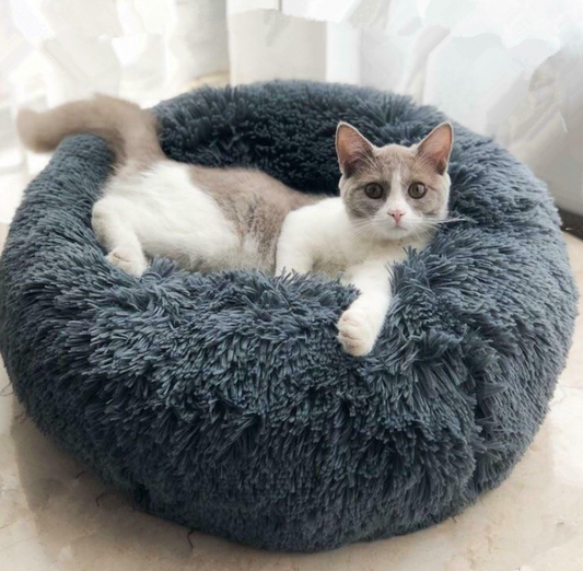 Good Pet Bed with Custom Box