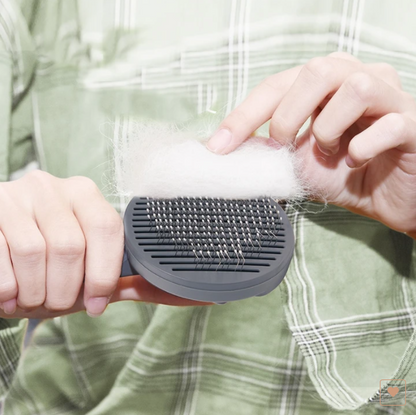 New Hot Selling Pet Self-cleaning Comb Massage To Remove Floating Hair
