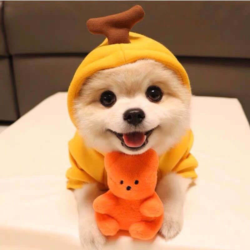 Dog Autumn And Winter Clothing Small And Medium Dog Love Two Legged