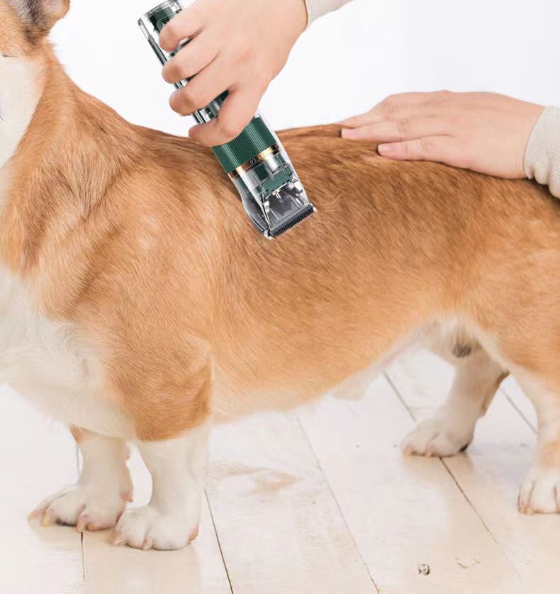 Pet Electric Hair Trimmer Cat Dog Rabbit Haircut Trimmer