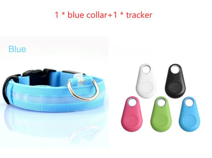 Safety Dog LED Collar