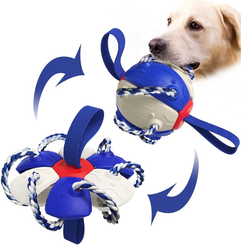 Interactive Dog Football Soccer Ball With Tabs Inflated Training Toy