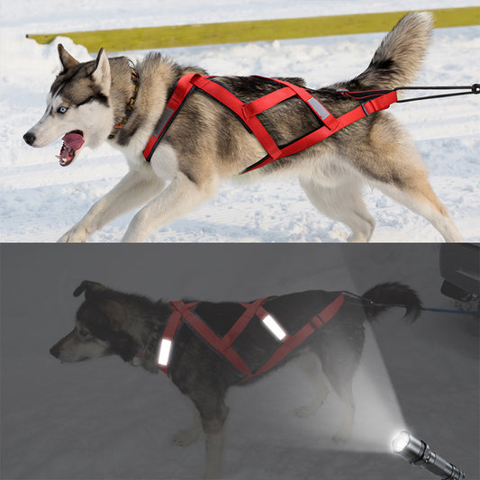 Large Dog Vest Alaska Sled Dog Hand Holding Rope