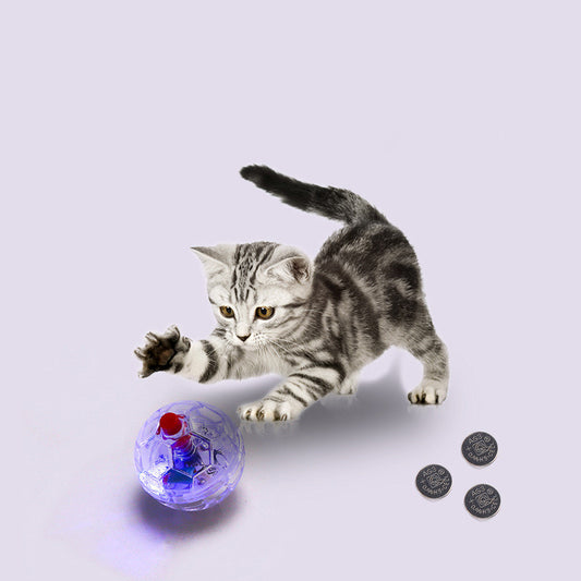 Cat Dog Toy Ball New Fashion Glowing Transparent Plastic Ball Pet