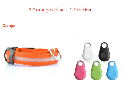 Safety Dog LED Collar