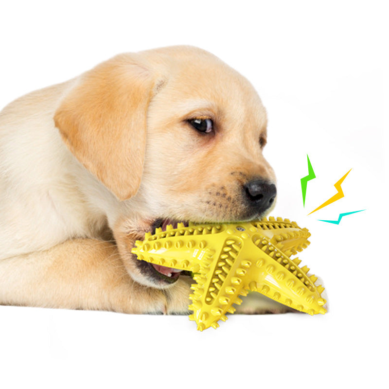 Starfish Vocal Pet Dog Toy Molar Stick