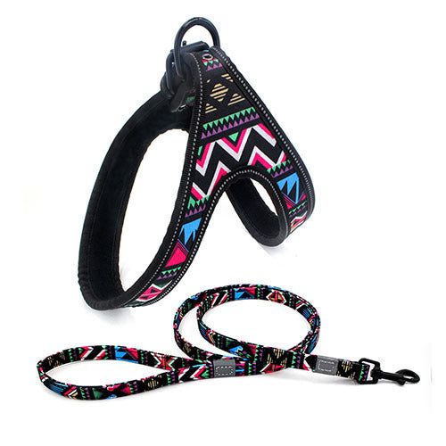 Colorful Dog Leash Dog Walking Rope Small And Medium-sized