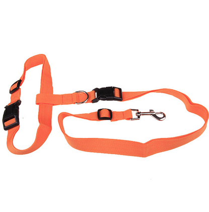 Explosive Pet Car Rear Seat Ring Safety Rope