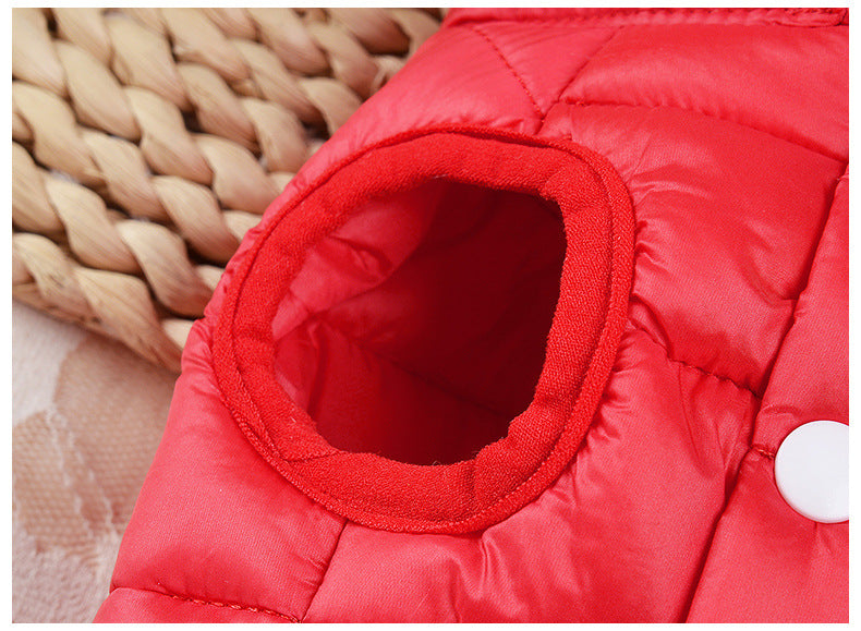Small Dog Teddy Autumn Autumn Winter Cat Thermal Padded Coat