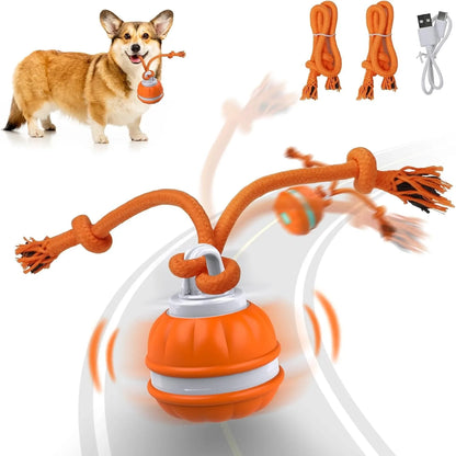Pet Ball For Dogs Interactive Toys Motion Activate Rolling Ball