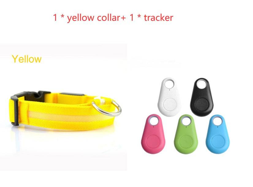 Safety Dog LED Collar