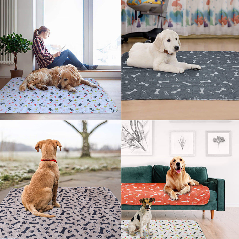 Reusable dog diaper pad