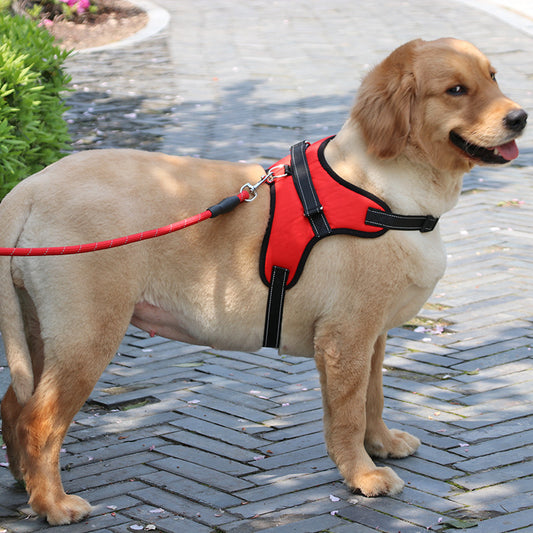 ﻿New Nylon Medium Large Dog Harness Collar K9 Padded