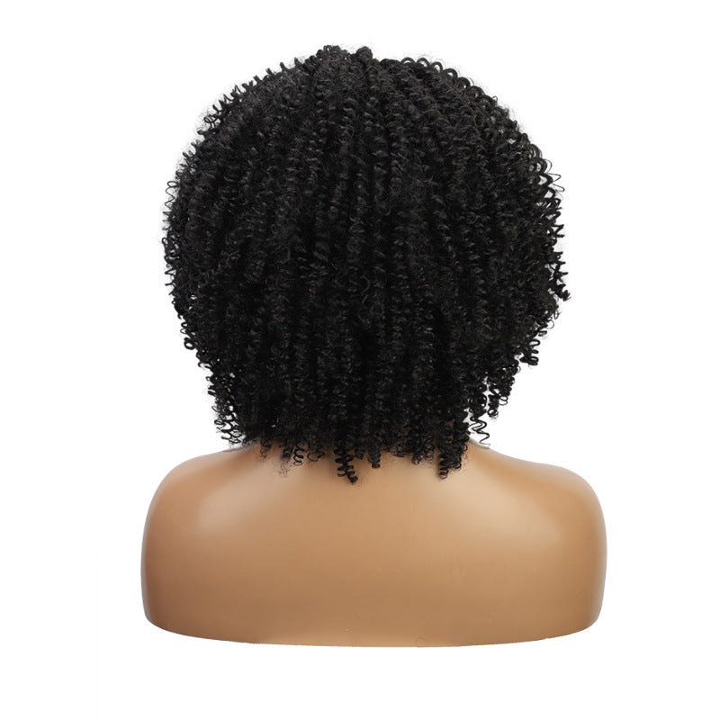 Ladies Fashion Personality High Temperature Silk Short Curly Hair