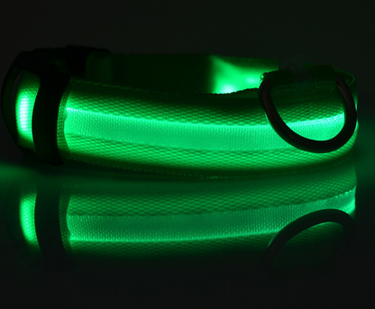 Nylon LED Pet Dog Luminous Collar Night Safety Flashing Glow in Dark
