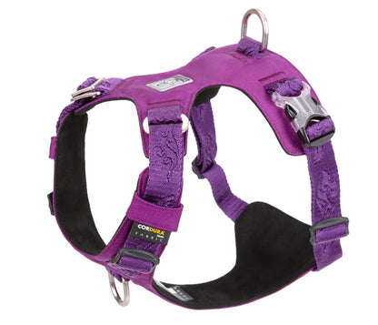 Explosion-proof dog harness for walking the dog