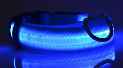 Nylon LED Pet Dog Luminous Collar Night Safety Flashing Glow in Dark