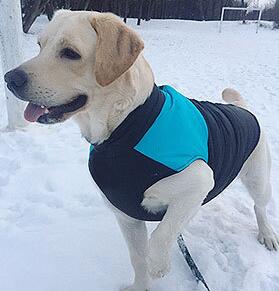 Autumn And Winter Pet Ski Wear Dog Outdoor Coat Vest Breathable Pet Supplies Coat