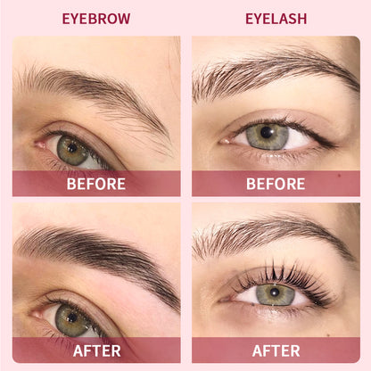 Eyelash Eyebrow Dye Tint Kit Brow Lamination